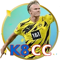 K8CC
